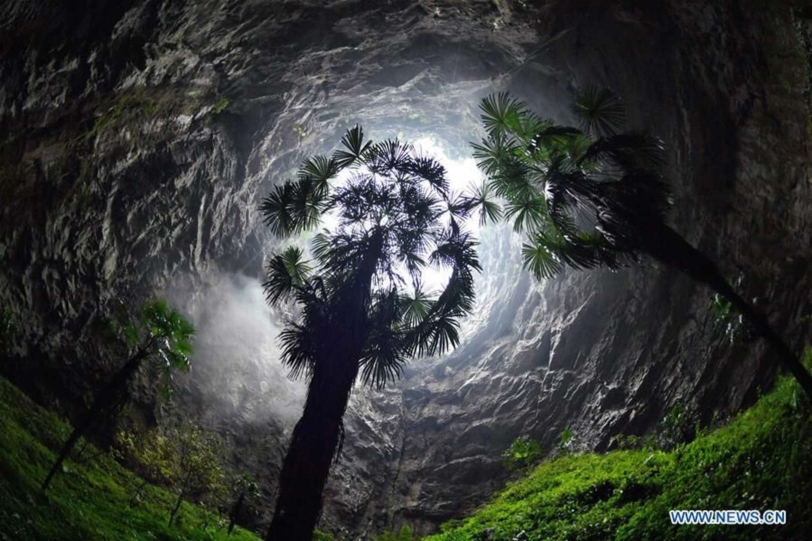 Ilmuwan China Temukan Lubang Raksasa yang Berisi Hutan Purba